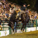 2024 Sheriff_s Rodeo B-compressed